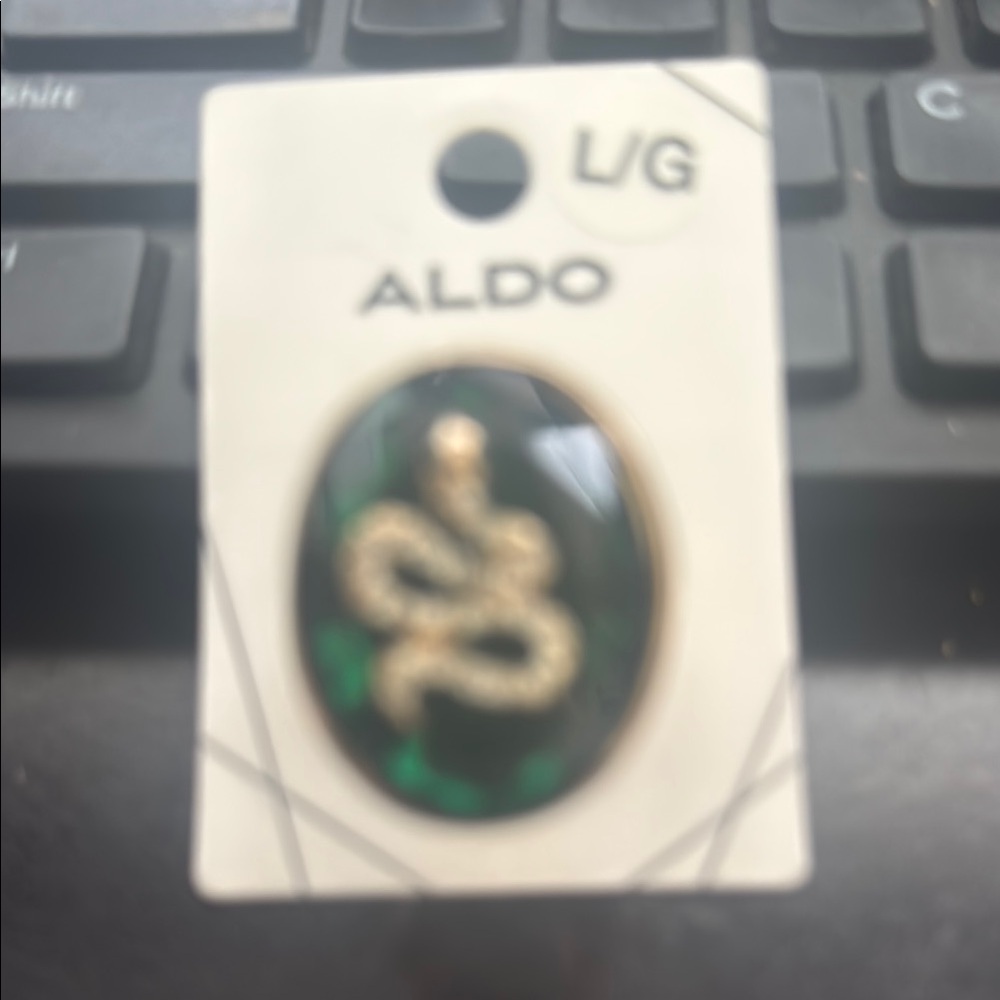 Aldo Black and Gold Snake Brooch